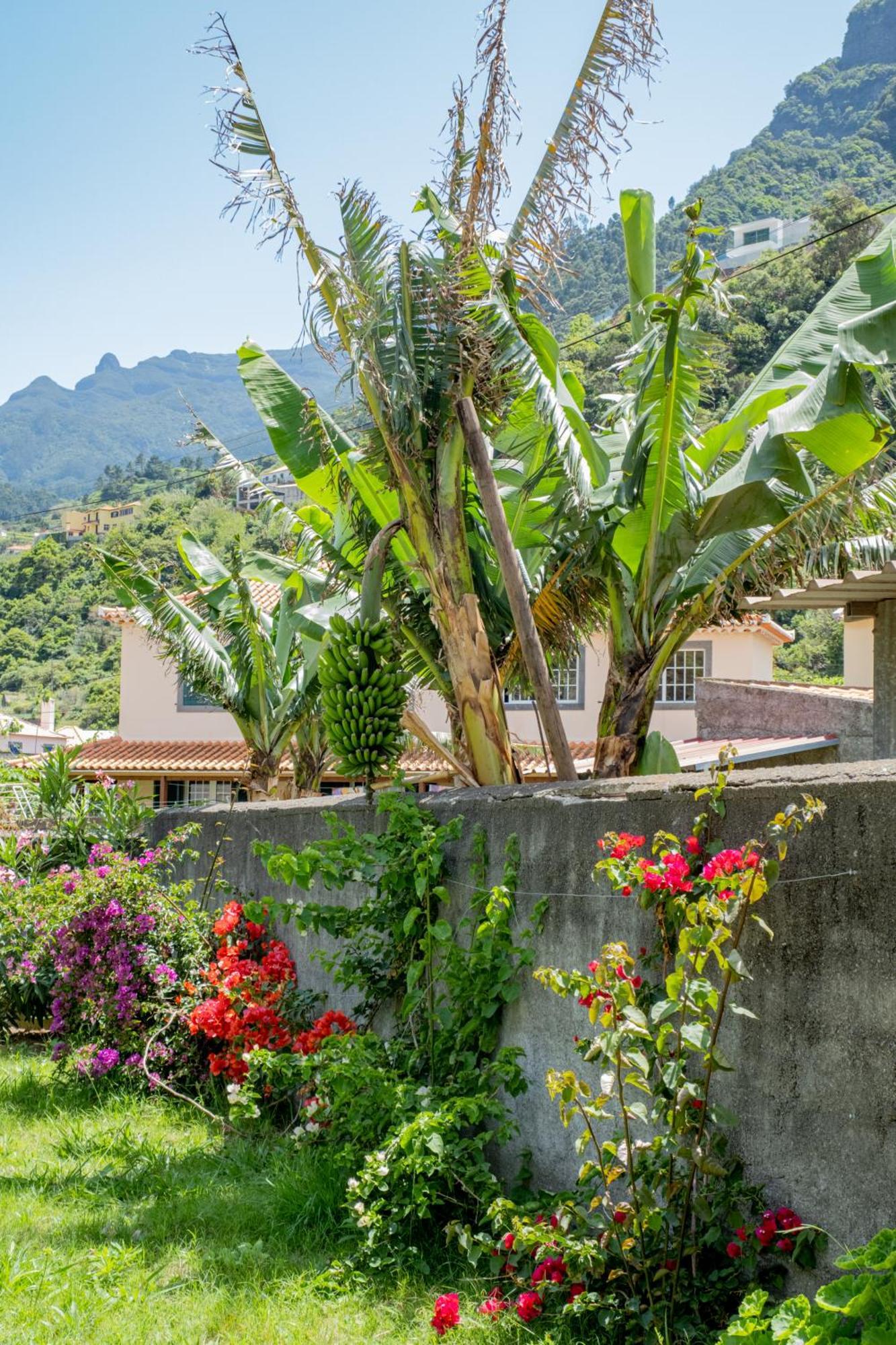 Sao Vicente Guest House ภายนอก รูปภาพ