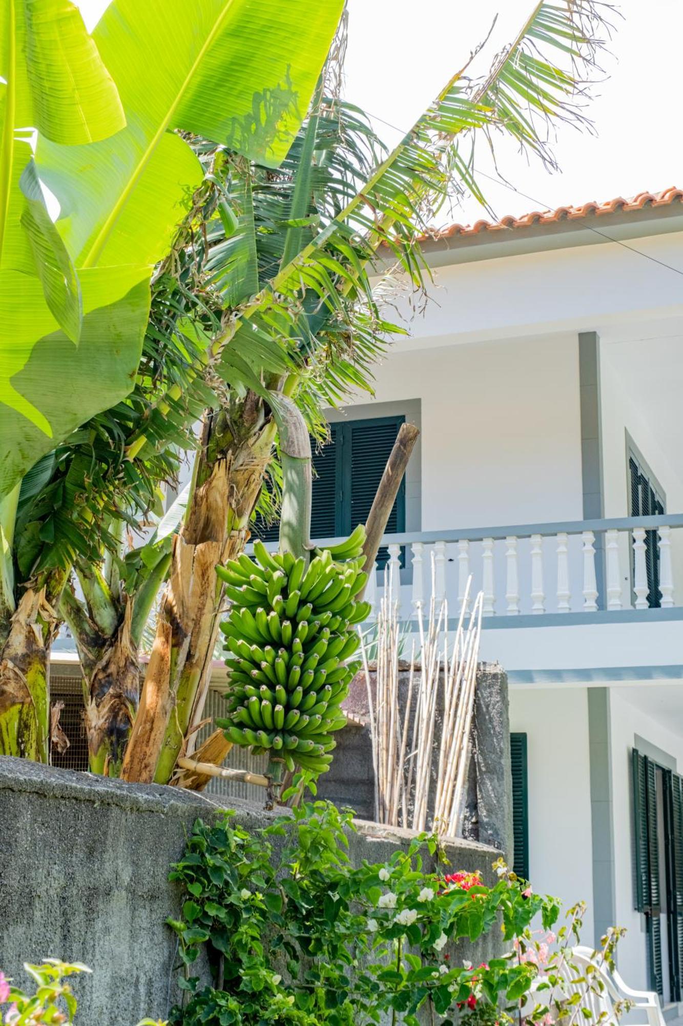 Sao Vicente Guest House ภายนอก รูปภาพ
